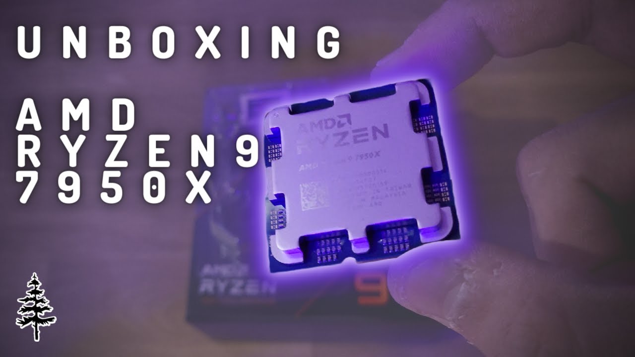 AMD Ryzen 9 Raphael 7950X3D BOX (100-100000908WOF) - buy CPU