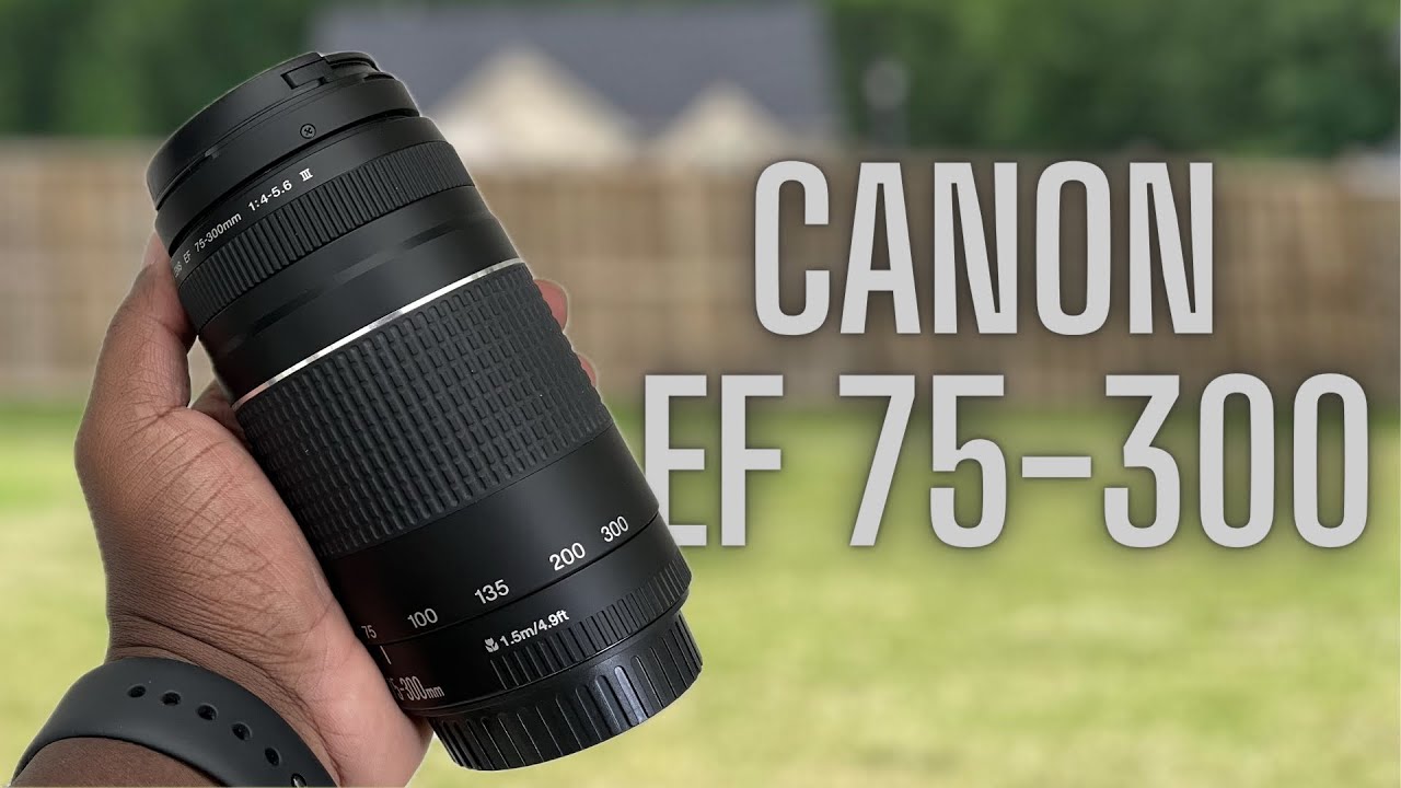 Canon 90D - Sports Photography Update | EF 75-300 Canon Lens