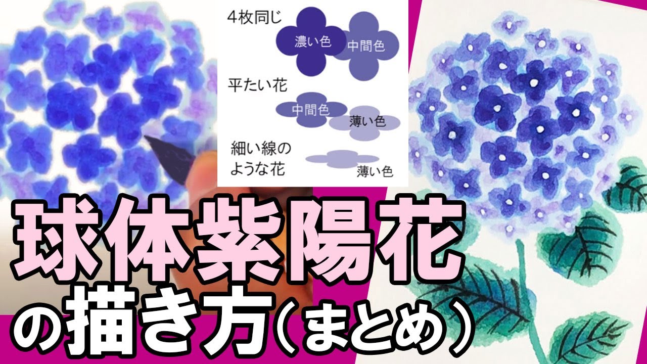 絵手紙6月】球体の紫陽花の描き方（まとめ動画） 徹底解説：かんたん