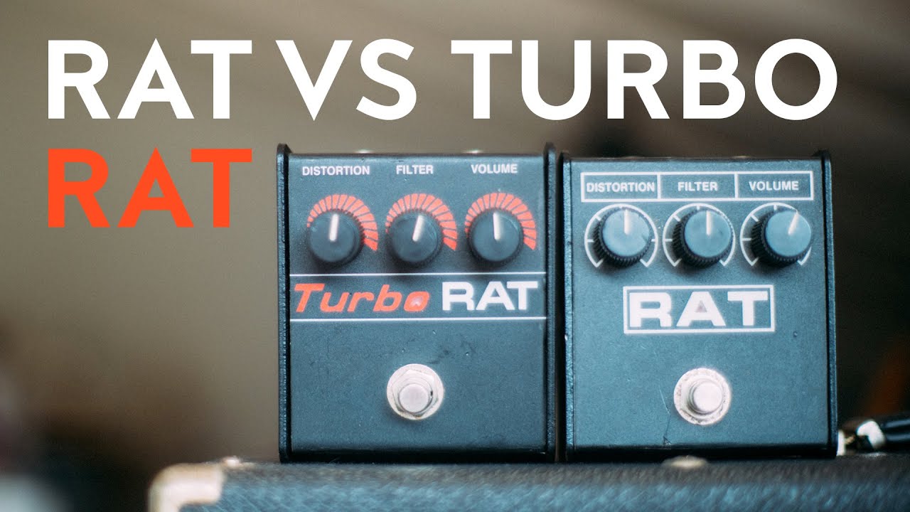 ProCo Rat vs ProCo Turbo Rat [the best rat distortion pedal for