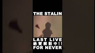 THE STALIN「ロマンチスト」(ショート) #80年代邦楽 #遠藤ミチロウ