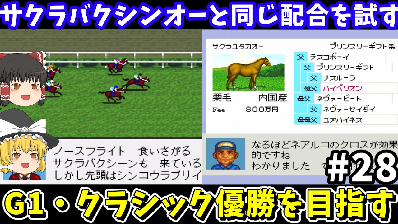Derby Stallion 96] Trying the same breeding as Sakura Bakushin Oh