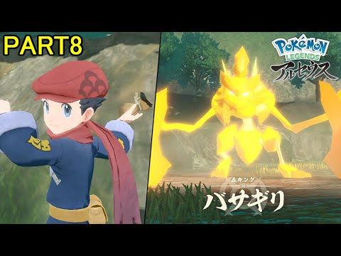 ポケモン レジェンズ アルセウス & どうぶつの森 ポケモン レジェンズ