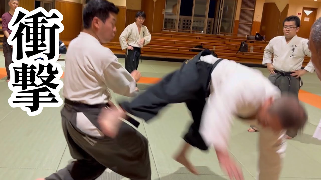 Part 1 [The Essence of Taido] Gensei-ryu Karate! Techniques