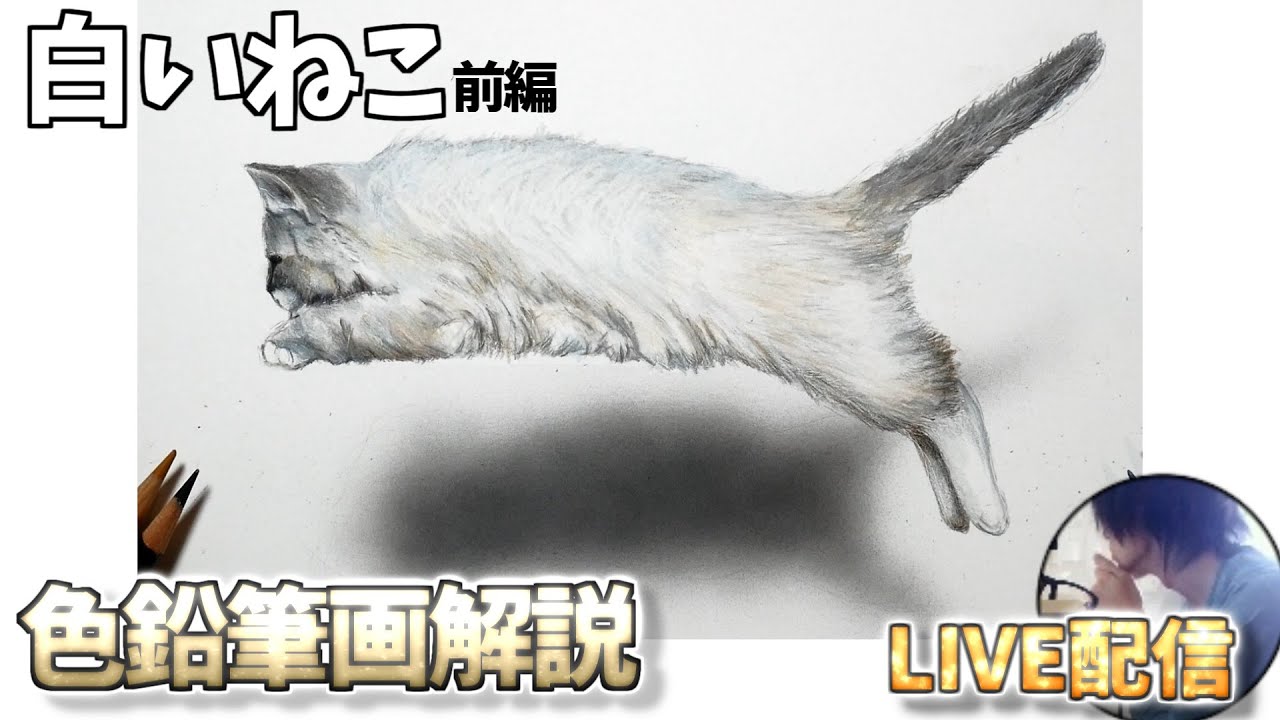 解説】色鉛筆画白い猫の描き方 前編 - YouTube