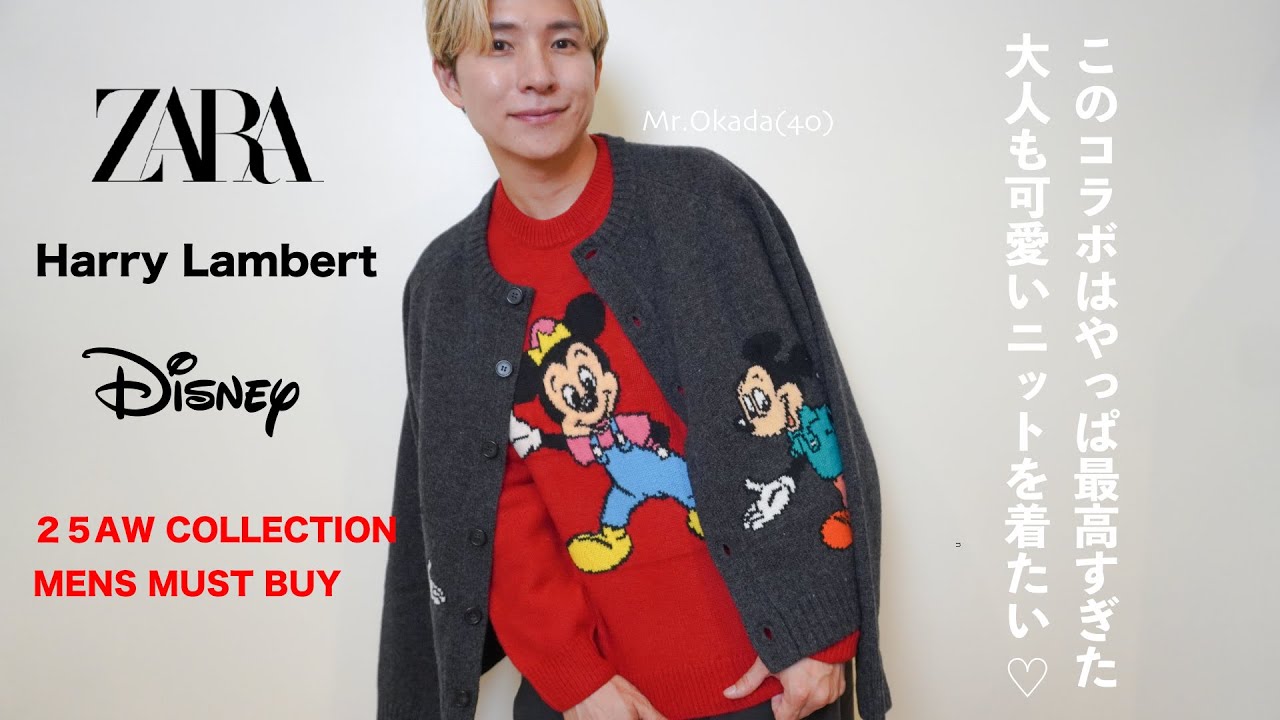 ZARA x Disney x Harry Lambert] This is a cute knitwear for a 40