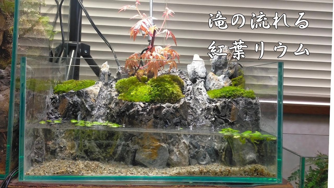 2本の滝と紅葉のアクアテラリウム - YouTube