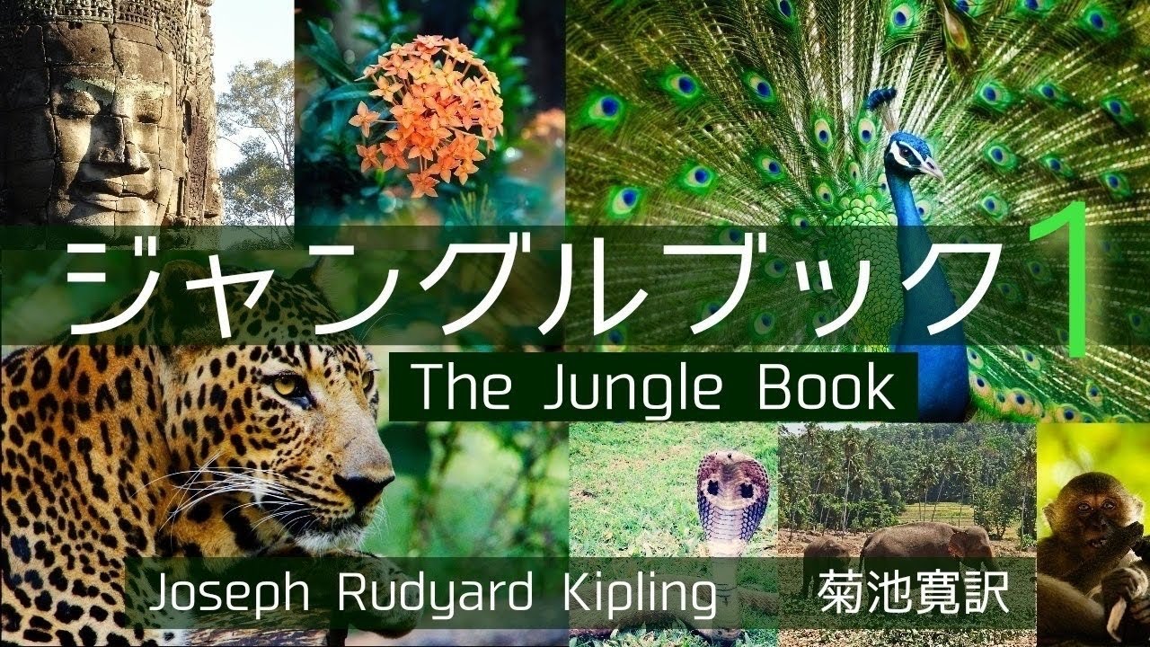 ケックラン:ジャングル・ブックの音楽 ジンマン/ベルリン放送so. 他