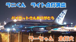 ラニくんライト点灯演出 ラーちゃん全灯火にてハワイへ】 2025.03.30