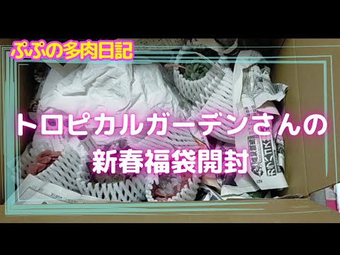Tropical Garden's New Year's Lucky Bag Opening - YouTube