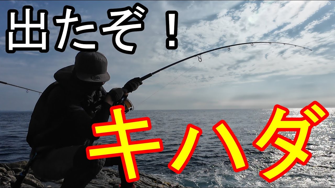 神津島沖磯で青物狙いのロックショア！キハダの回遊あり！！耐える