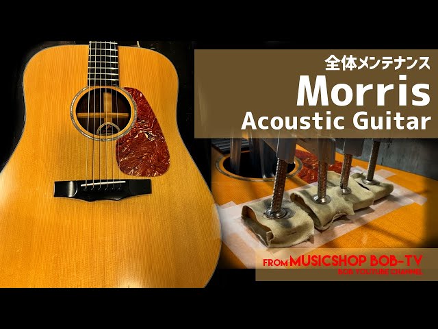 Morris エレアコ アコースティックギター M-51GT Morris エレアコ M51