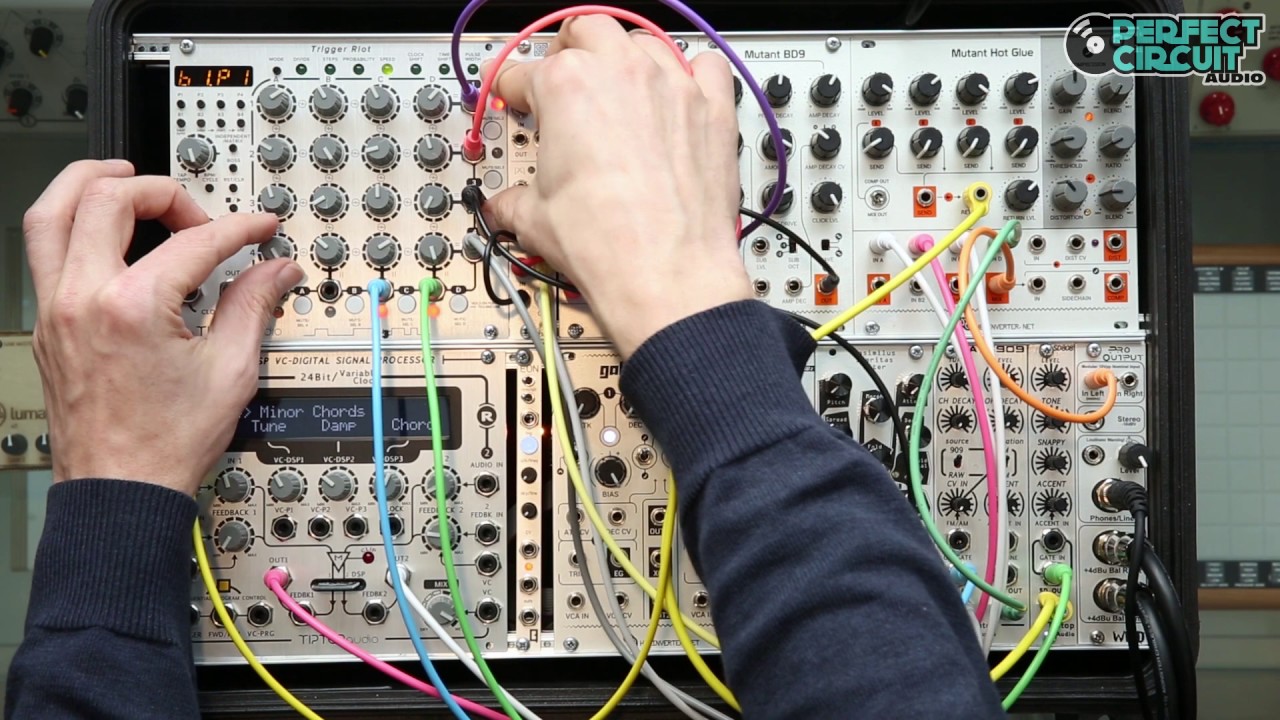 Tiptop Audio Trigger Riot Drum Sequencer - YouTube