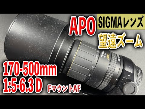 SIGMAの高倍率超望遠レンズ】170-500mm 1:5-6.3 D APO【Nikon F AF