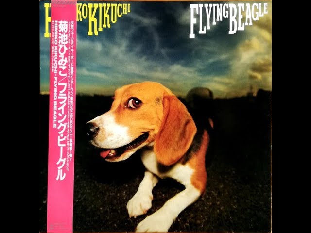 菊池ひみこ Himiko Kikuchi ‎– Flying Beagle (Full Album) - YouTube