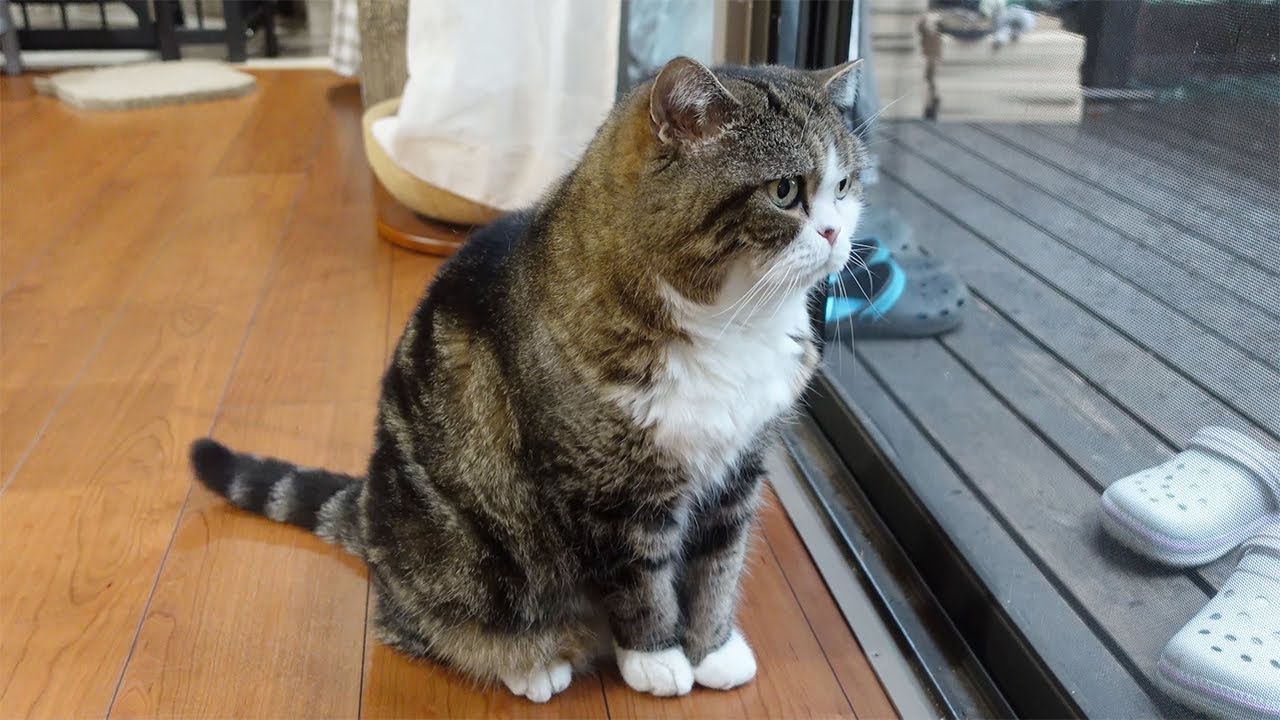 まるです18。-I am Maru 18.- - YouTube