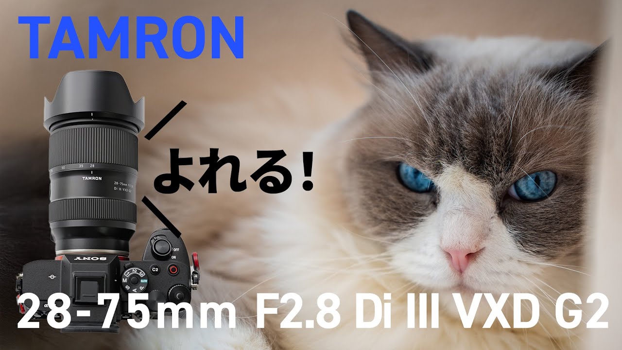 TAMRON 28-75mm F2.8 Di III VXD G2】 コスパ最強の寄れる標準ズーム