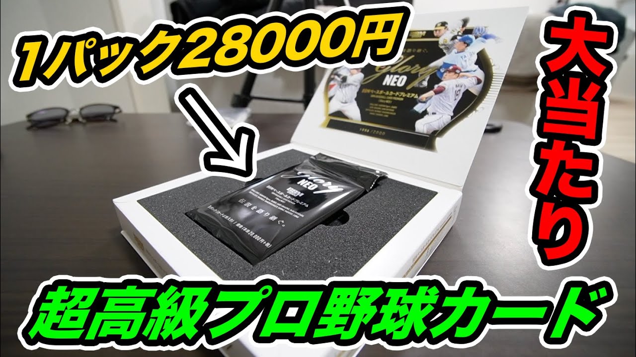 未開封 プロ野球 DXカード ベースボールカード 33枚袋入り 表紙:巨人堀内