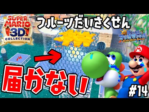 I can't get the Shine from Yoshi's Fruit Siege [Let's get the