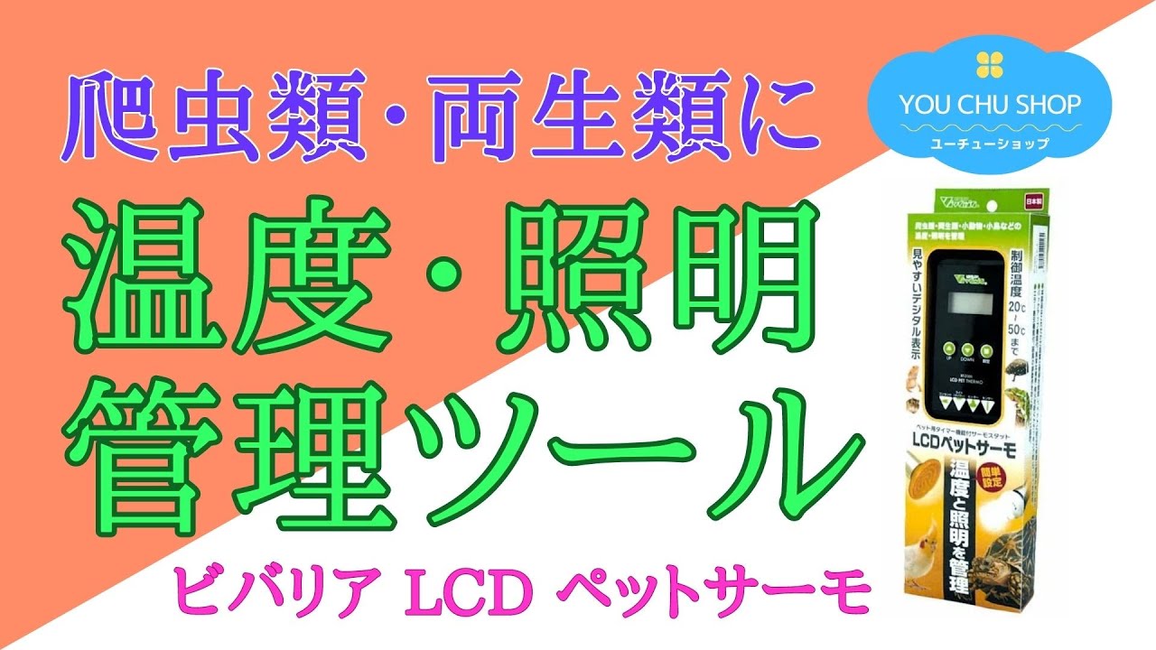 小さな生き物の温度、照明管理に】ビバリア LCD ペットサーモ - YouTube