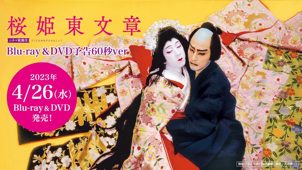 SHOCHIKU STORE | 松竹ストアシネマ歌舞伎 桜姫東文章 [DVD]: 松竹DVD