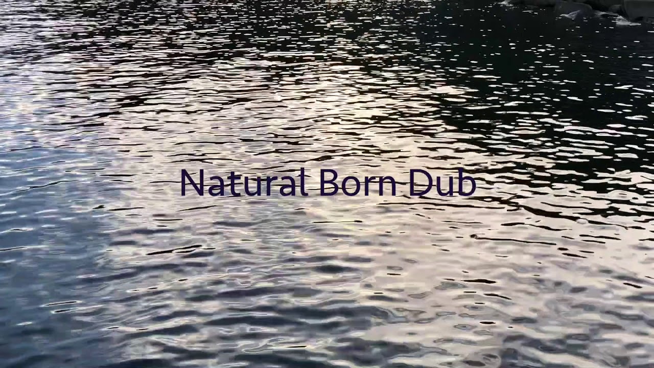 藤原ヒロシ Hiroshi Fujiwara - Natural Born Dub - YouTube