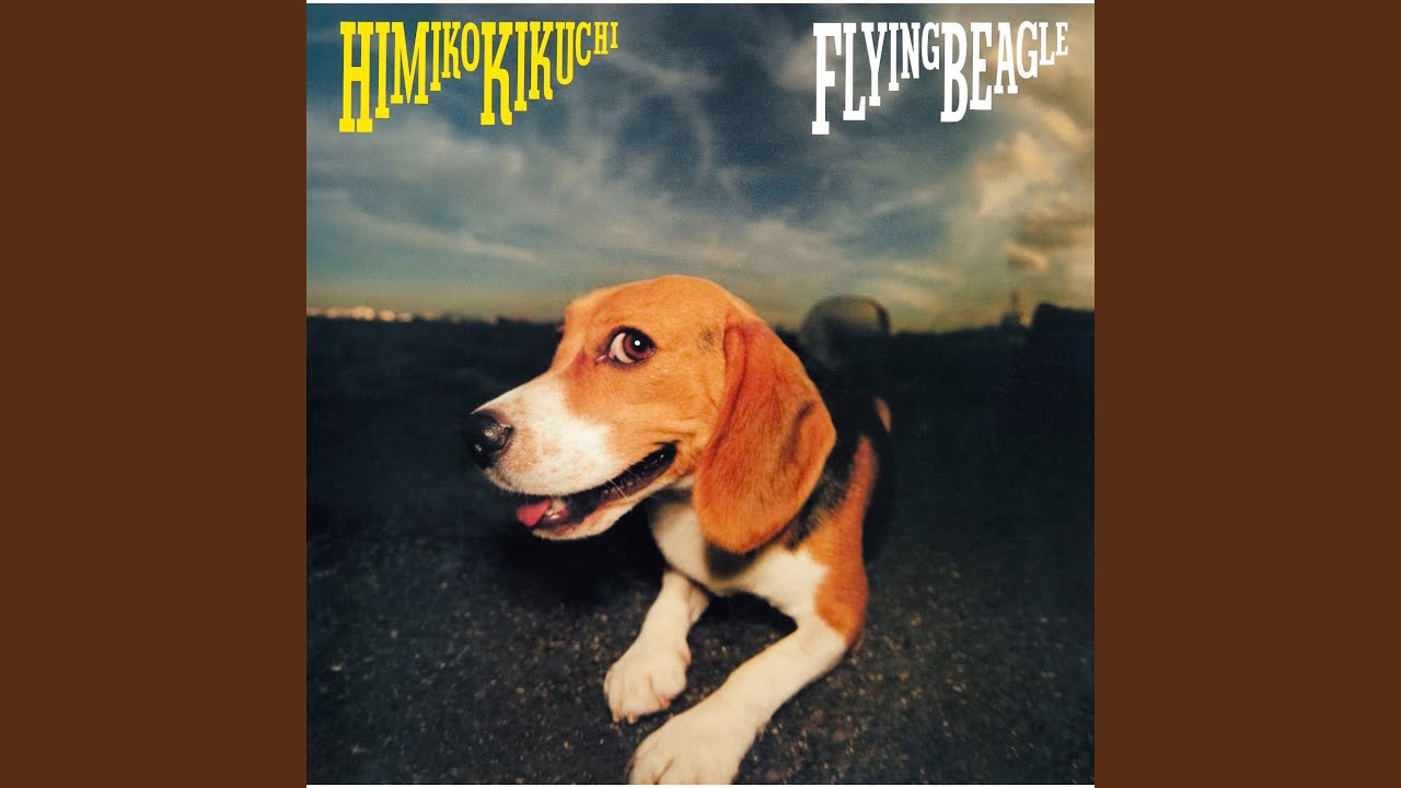 菊池ひみこ本人からの独占コメントも! Jフュージョンの名盤『Flying