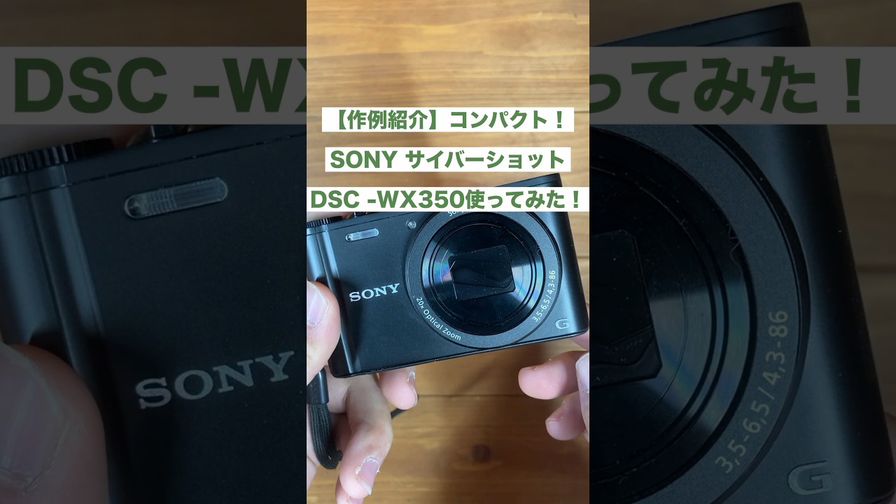 作例紹介】コンパクト！SONY サイバーショットDSC-WX350使ってみた