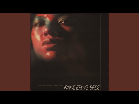 Jiro Inagaki & Soul Media – Wandering Birds 女友達 – Vinyl