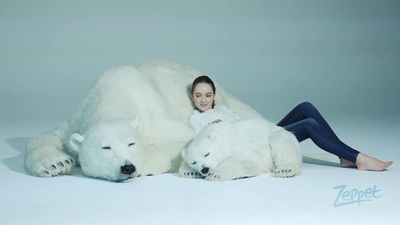 自宅でシロクマと暮らす ” 動物美術品 「 Animals As Art 」第一弾