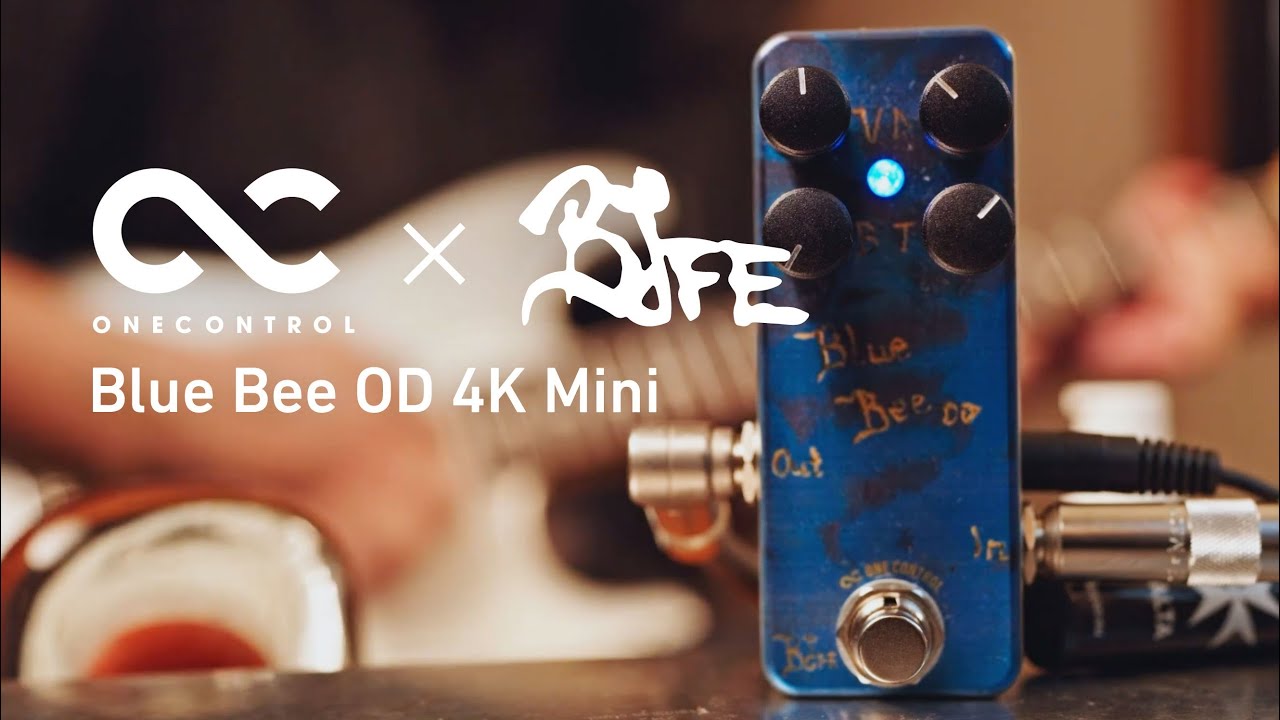 One Control Blue Bee OD 4K Mini – OneControl