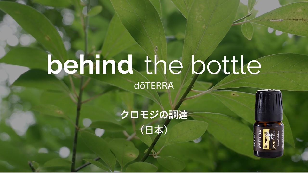 クロモジ - doTERRA TIMES