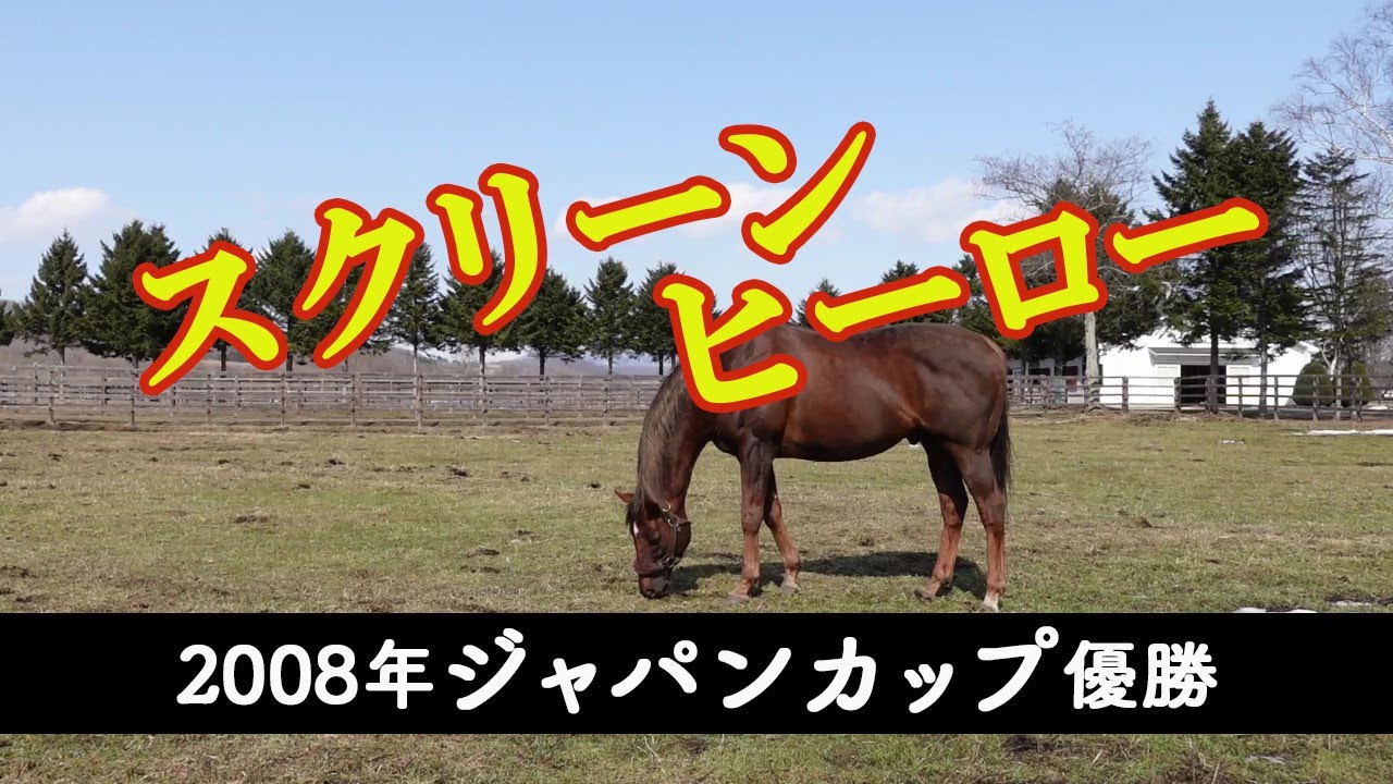 2008年ジャパンカップ優勝 スクリーンヒーロー Screen Hero - YouTube