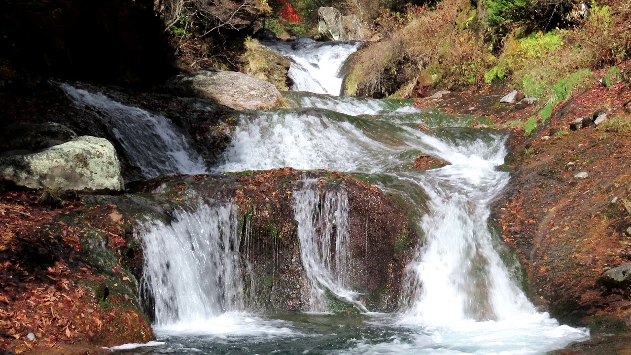 PowerShot SX70 HS 4K撮影動画【キヤノン公式】 - YouTube