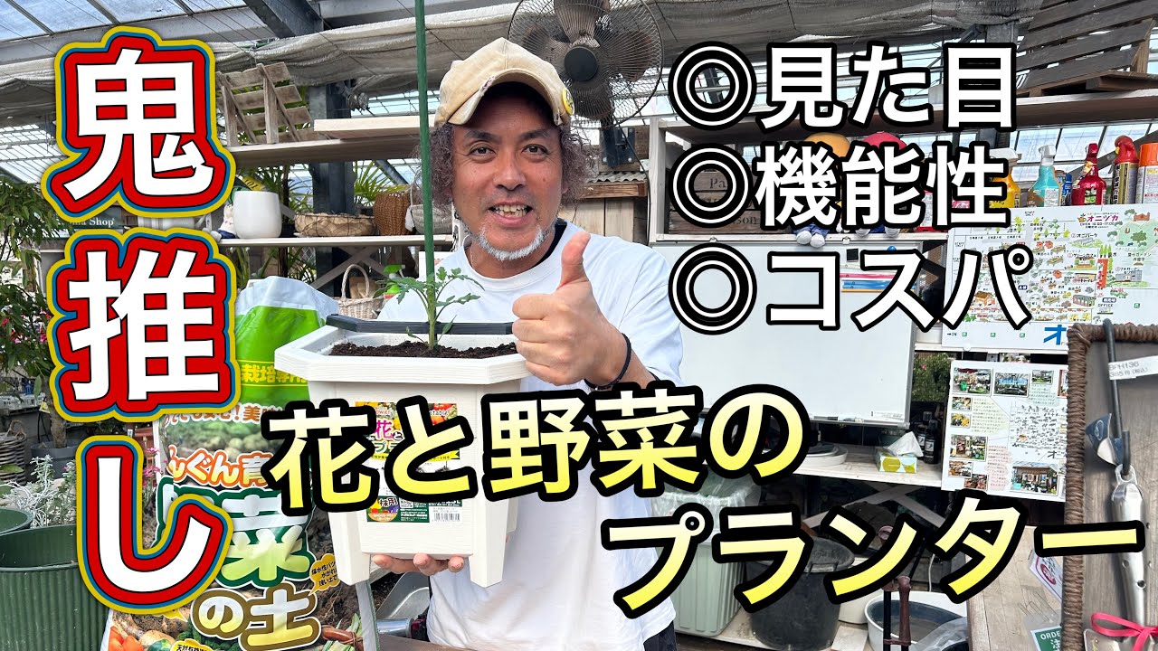 Recommended] Enjoy gardening all year round with flower and