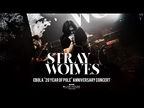 STRAY WOLVES - 