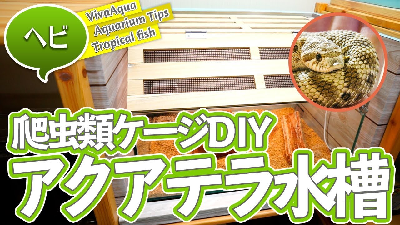 DIY reptile cage! An all-glass cage that is easy to maintain