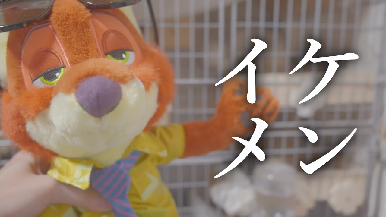 Unboxing] Zootopia 2 is coming out, so there's so much merchandise