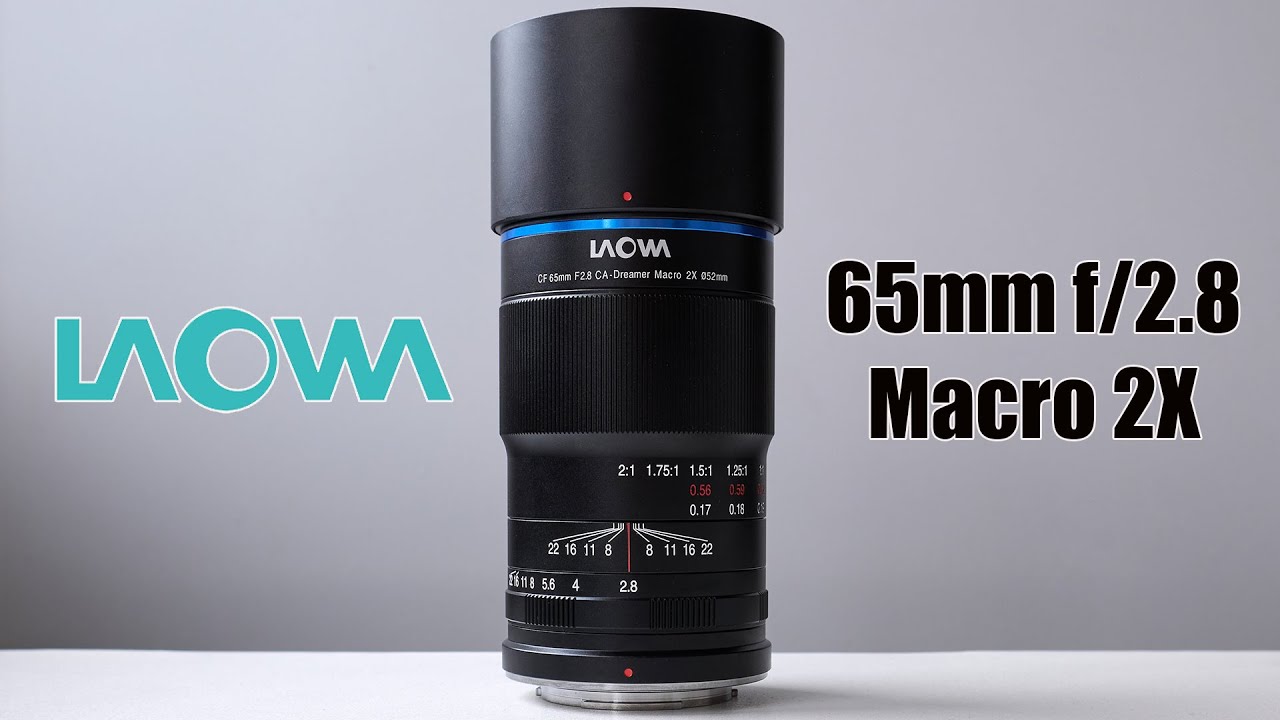 Laowa 65mm f/2.8 Macro 2X: The Easiest Entry into Professional