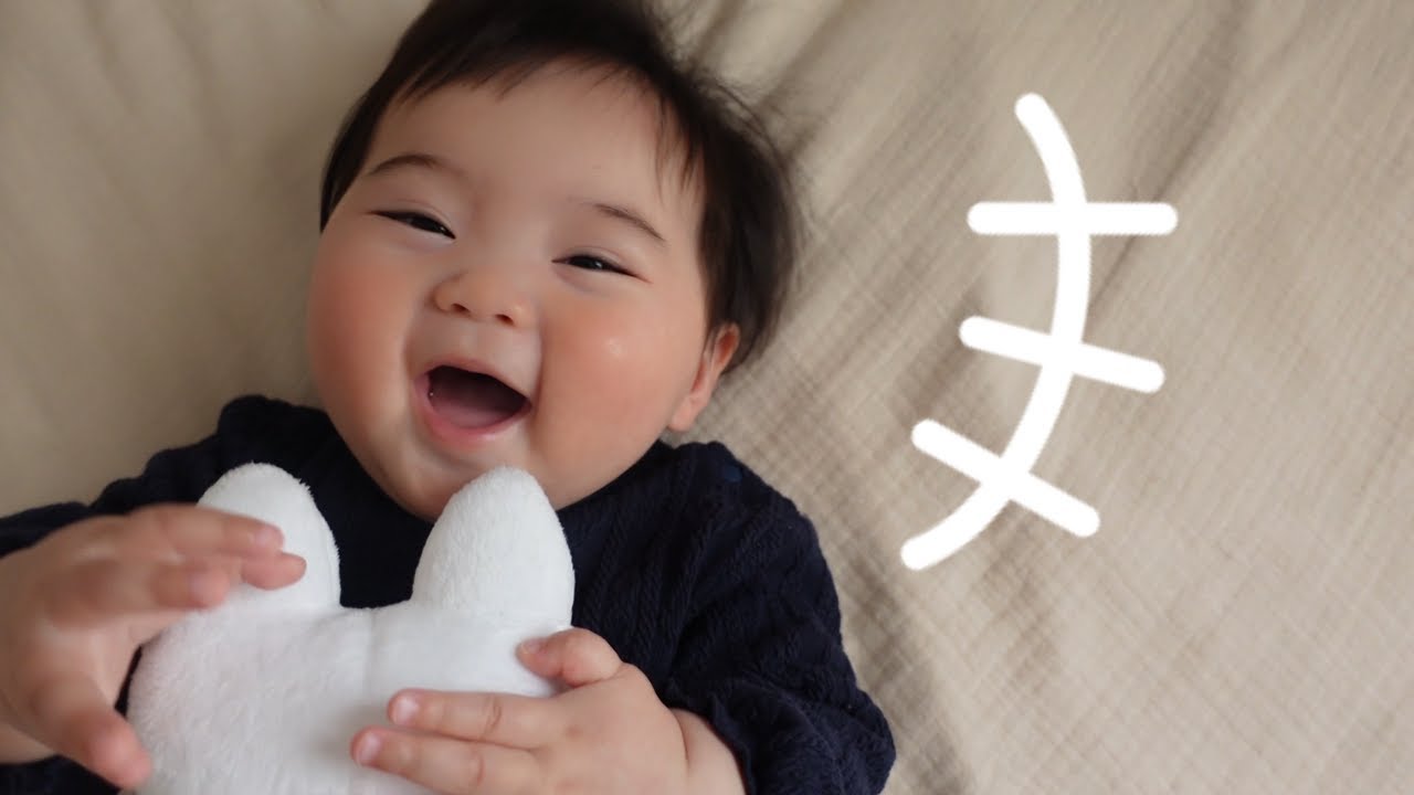 生後233日】大爆笑!!ノンタンと遊んでゲラゲラ笑う生後7ヶ月の赤ちゃん