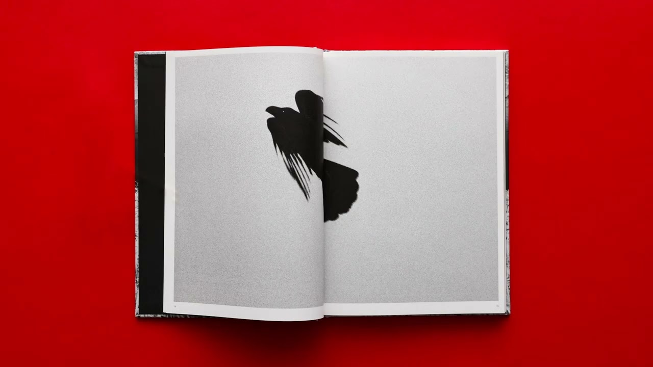 maxresdefault.jpg?sqp=-