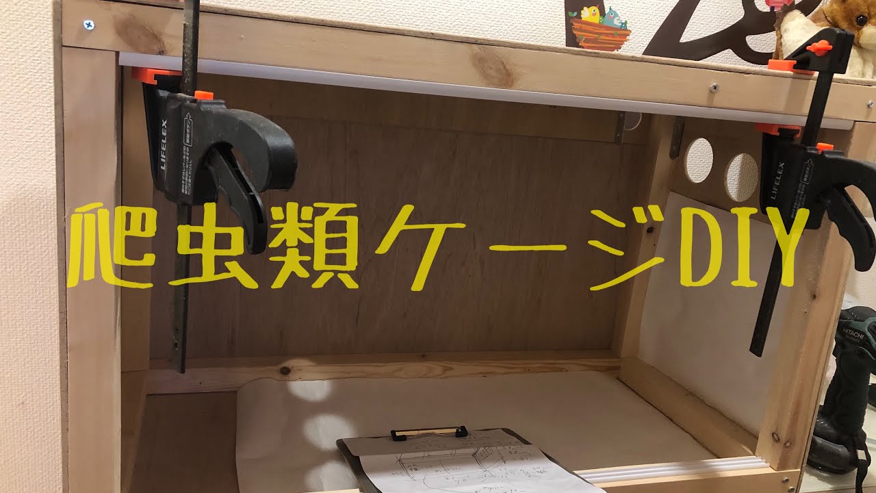 爬虫類ケージを木材で作りました【DIY】 - YouTube