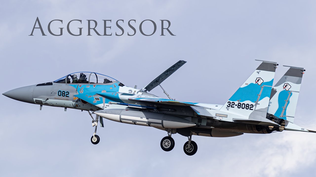 航空自衛隊 F-15DJ 飛行教導群教導隊 