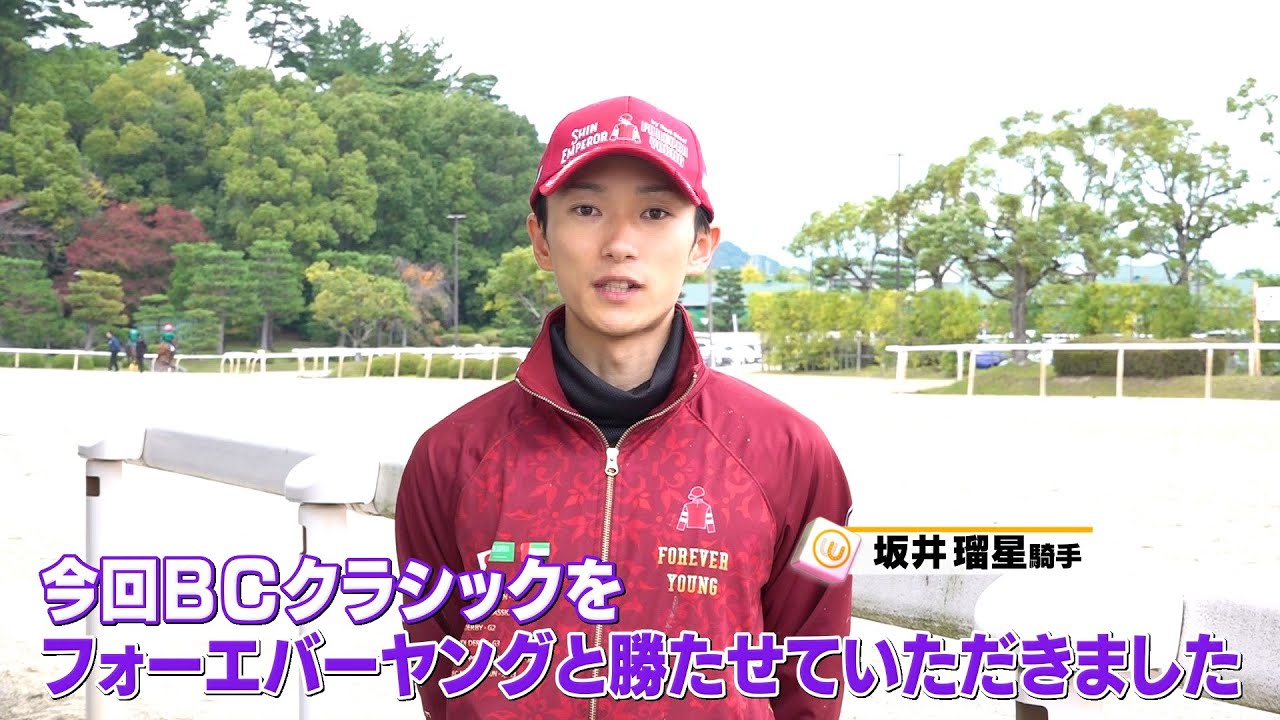 い*う様 【世界唯一】年度代表馬選出記念フォーエバーヤング坂井瑠星