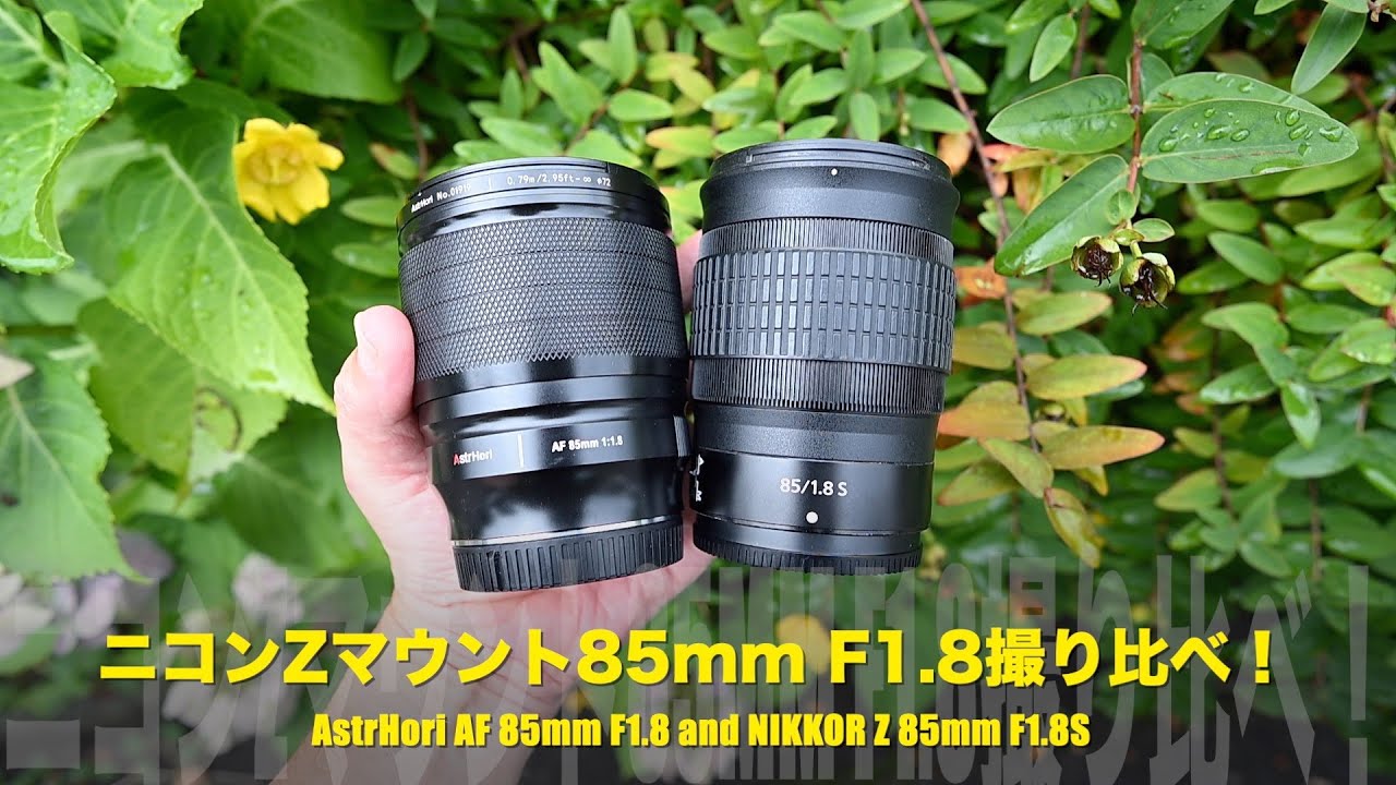 ニコンZマウント85mm F1.8を撮り比べ！AstrHori AF85mm F1.8 & NIKKOR