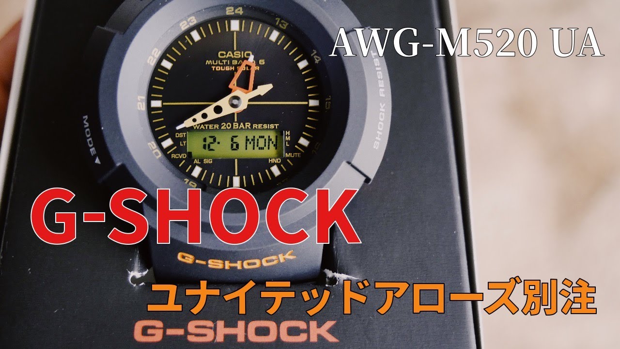 ユナイテッドアローズ別注のGショクを購入したので、紹介します