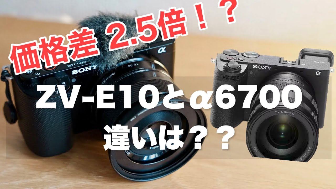 The price difference is about 2.5 times!!] What is the difference