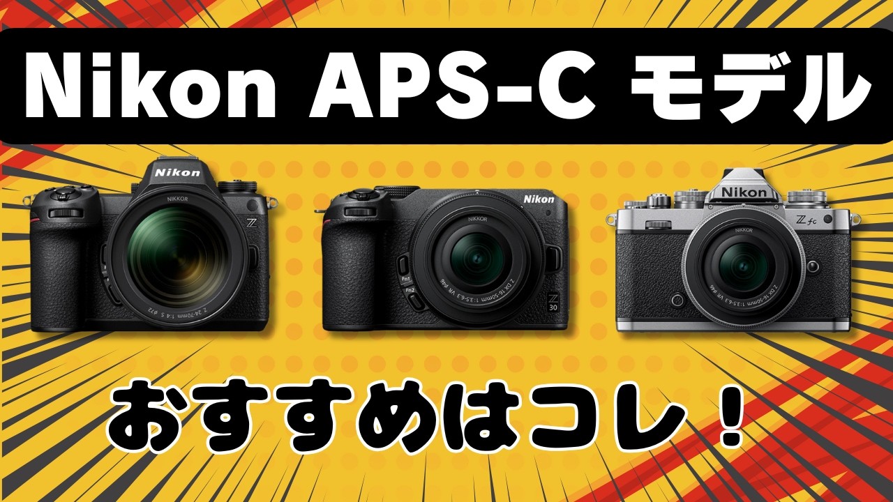 NikonのミラーレスカメラZ50II・Z30・Zfcの性能比較！あなたのおすすめ