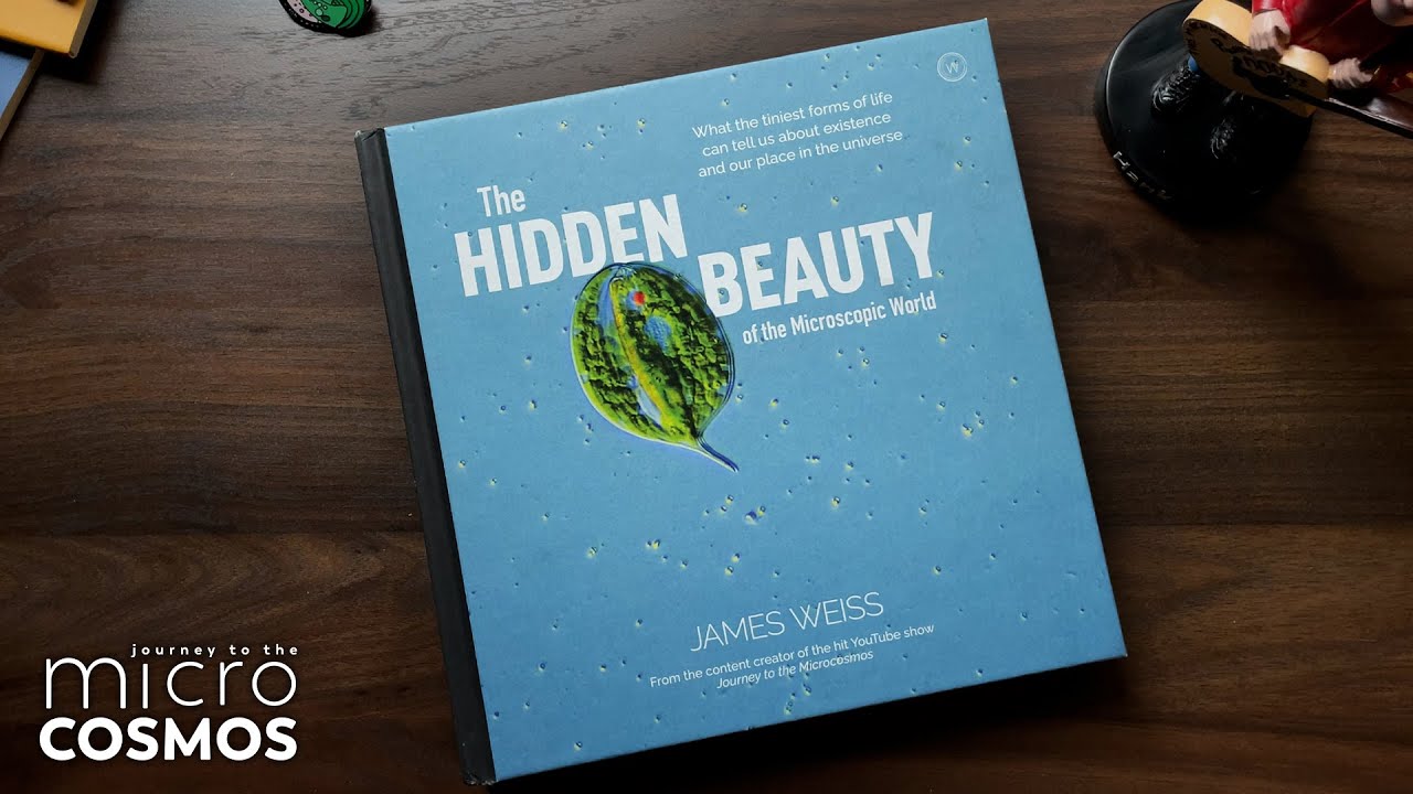BONUS VIDEO: Hold The Microcosmos In Your Hands! - YouTube