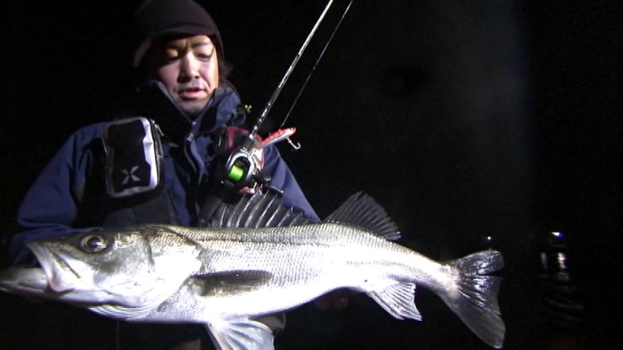 Feel like fishing anytime!] #149 Identify the pattern and catch